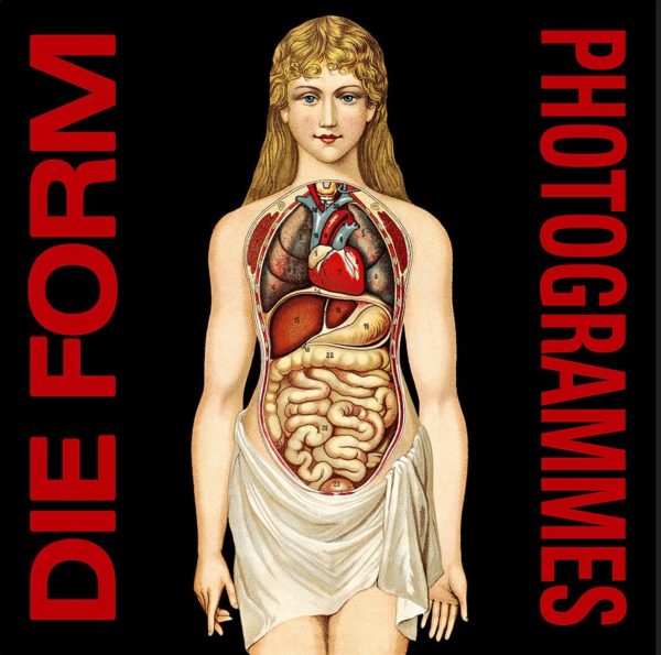 record-runners-die-form-photogrammes
